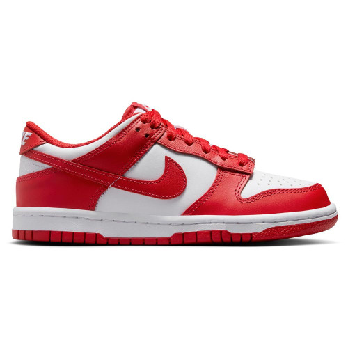 Nike Dunk Low (GS)